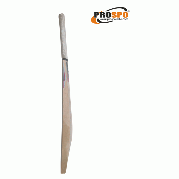 SS Bat, Cricket Bat Kashmir Willow