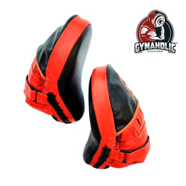 BOXING GLOVE AND FOCUS PAD 