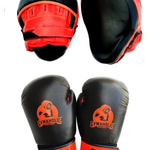BOXING GLOVE AND FOCUS PAD